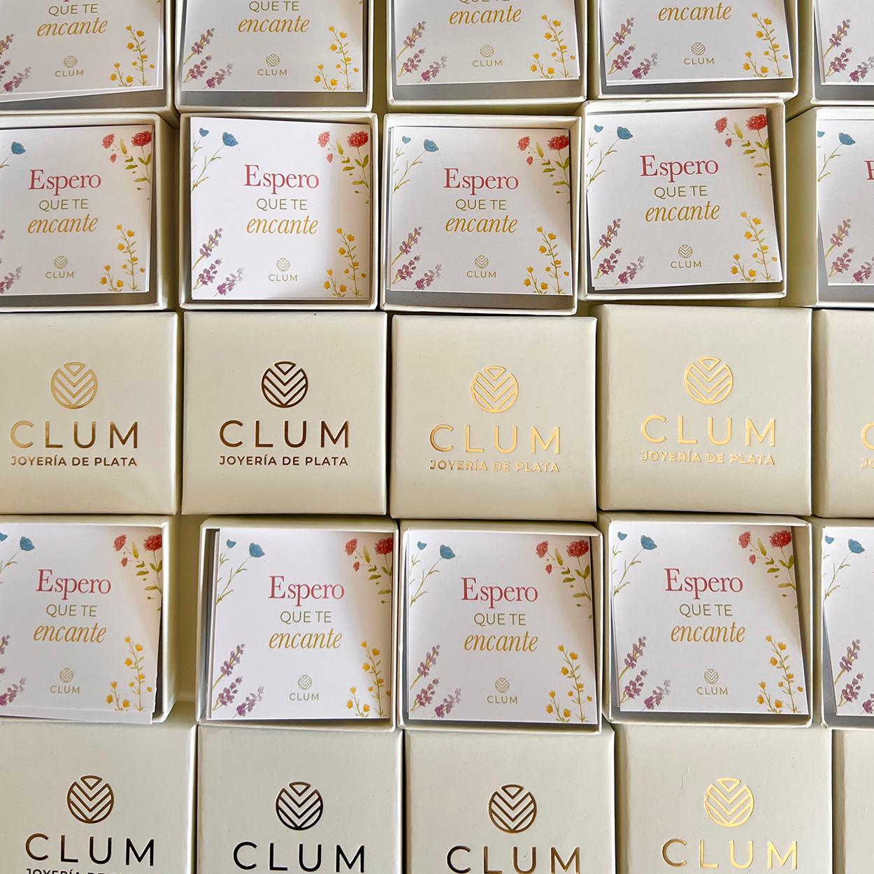 Scatole CLUM | Set da 5