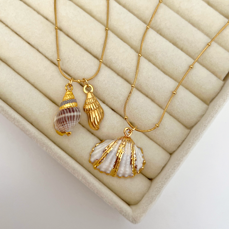 Collana Oceana Conchiglia Naturale Oro