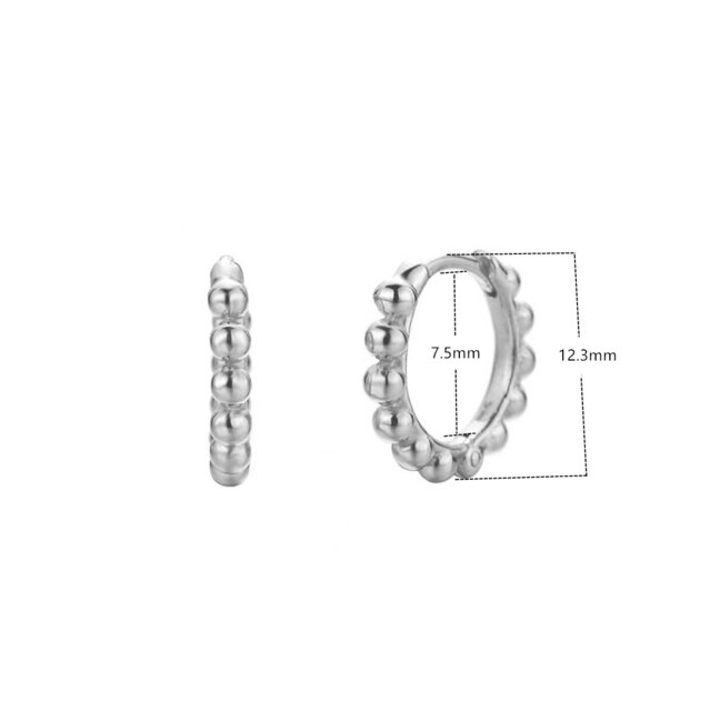 Silver Stud Earrings 