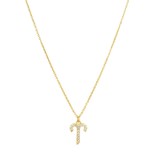 Gold Zodiac Necklace 