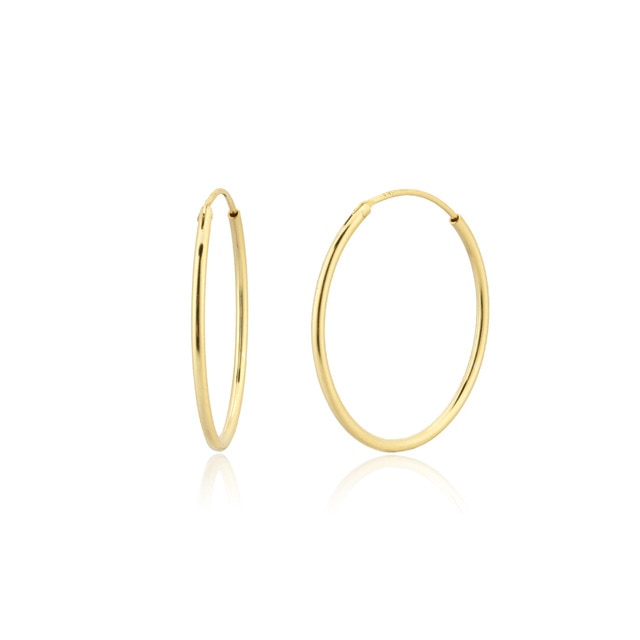 Basic Gold Hoops 