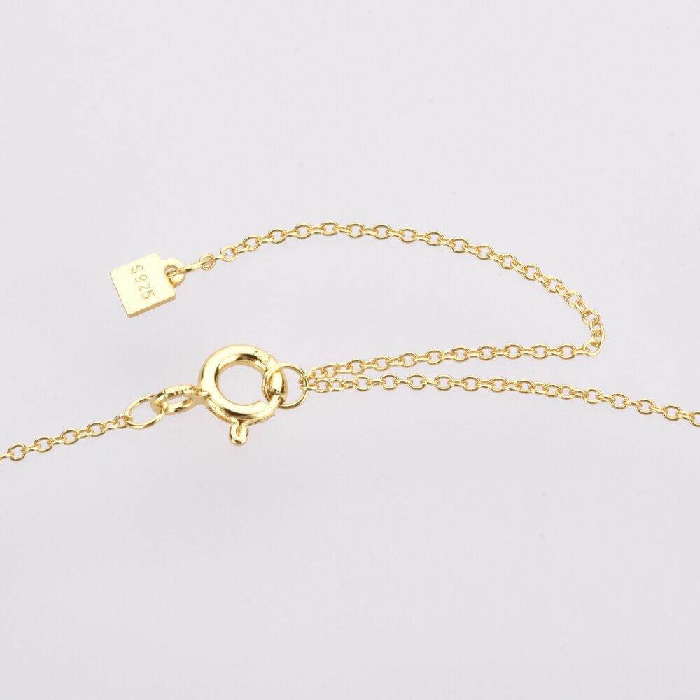 Collar Spring Inicial