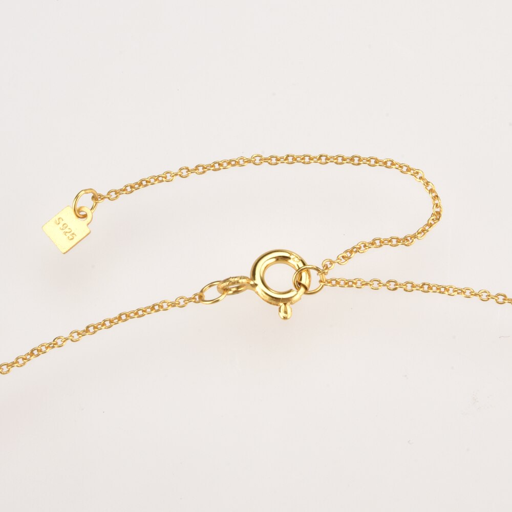 Collar Khepri Plata